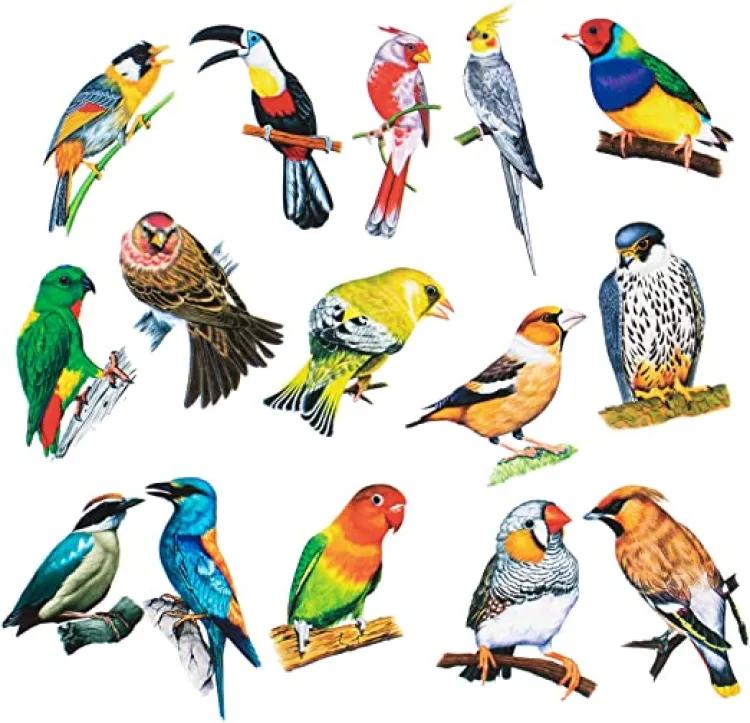 3D Art Crafts BiRdsWall Stickers  (pack of 8 pcs ) ValueKartPk