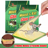 Reusable Expert Catch Mouse &amp; Rat Glue Catch Trap ValueKartPk