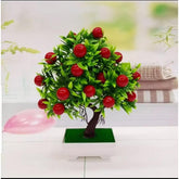 Beautiful Fruit Bonsai Tree for Home Decor ValueKartPk