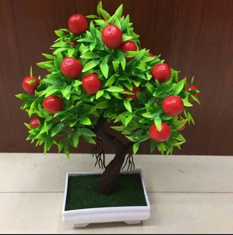 Beautiful Fruit Bonsai Tree for Home Decor ValueKartPk