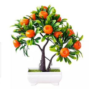 Beautiful Fruit Bonsai Tree for Home Decor ValueKartPk