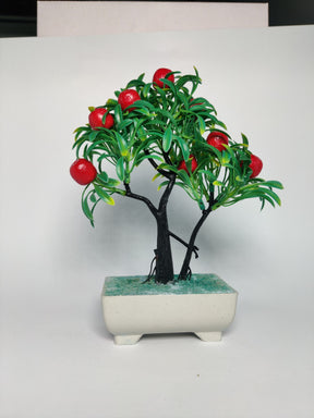 Beautiful Fruit Bonsai Tree for Home Decor ValueKartPk