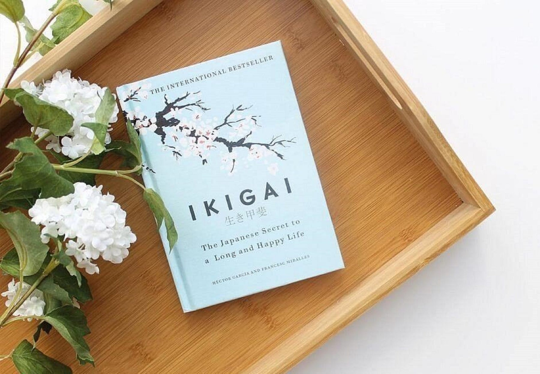 IKIGAI: The Japanese Secret to a Long Happy Life ValueKartPk